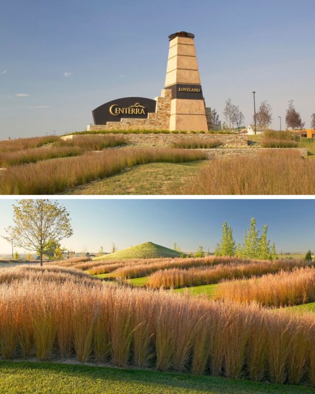 🌟Welcome to the Centerra community, Northern Colorado’s premier master-planned community, where every detail is designed to bring people, nature, and convenience together. Here. you're in a place where scenic trails connect you to lakes, vibrant neighborhoods, and a thriving hub of shops, dining, and entertainment.

At Centerra, life isn’t just about a home, it’s about a lifestyle. This thoughtfully crafted community blends modern living with natural beauty, offering spaces to gather, explore, and grow. Whether you’re strolling along the trails, enjoying the open spaces, or connecting with neighbors at community events, Centerra is where it all comes together.

✨ And the best part? There’s even more to discover!
🏡 The Lakes at Centerra brings waterfront serenity and outdoor adventure right to your doorstep.
🌱 Kinston at Centerra introduces a fresh vision for connected living, with innovative homes and a vibrant neighborhood experience.
🗿Chapungu Sculpture Park at Centerra showcases an exhibit of the world's most renowned sculptures immersed in nature.

Explore the Centerra Community Master Plan by clicking the link in our bio.

Stay tuned this month as we dive deeper into this award-winning 3,000-acre community in the upcoming weeks. Your perfect Colorado lifestyle starts here.